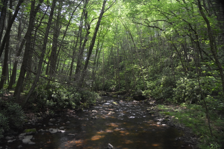creek